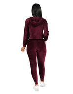 Load image into Gallery viewer, Velour Active Set Hoodie Crop Top and Jogger
