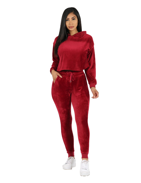 Velour Active Set Hoodie Crop Top and Jogger, Velour Sets